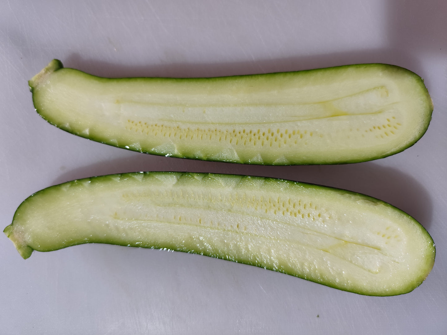 Calabacín/Zucchini