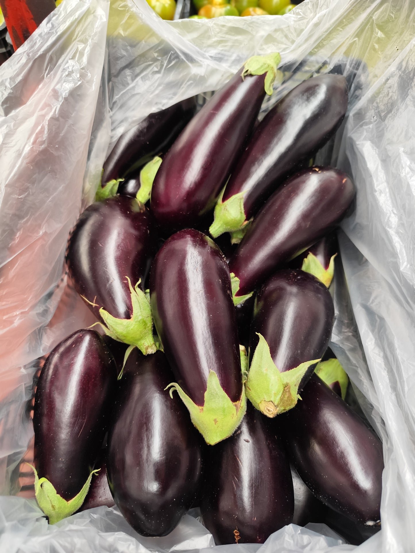 Berenjena/Aubergine