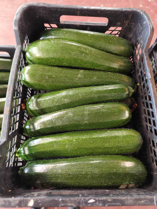 Calabacín/Zucchini