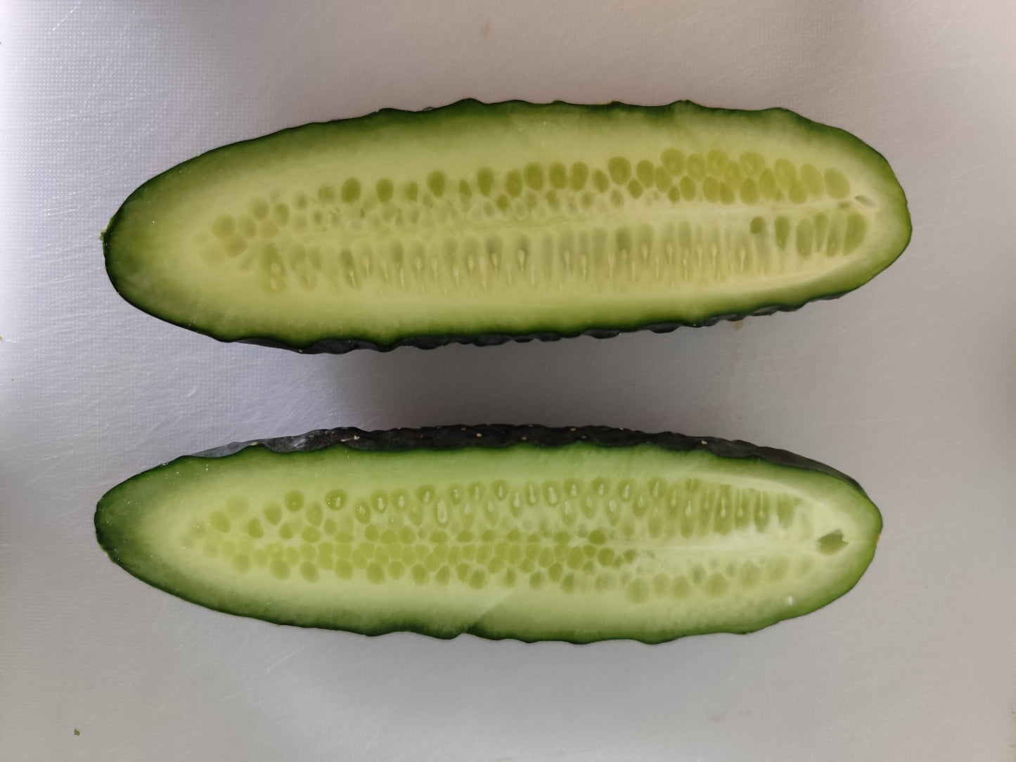 Pepino/Gurke