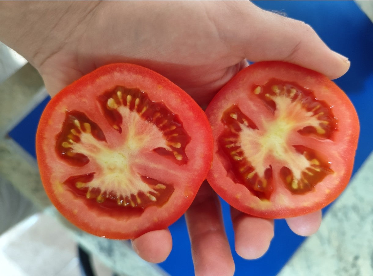 Tomate Larga Vida